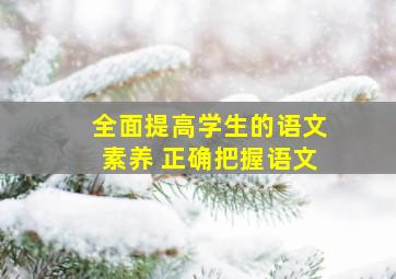 全面提高学生的语文素养 正确把握语文